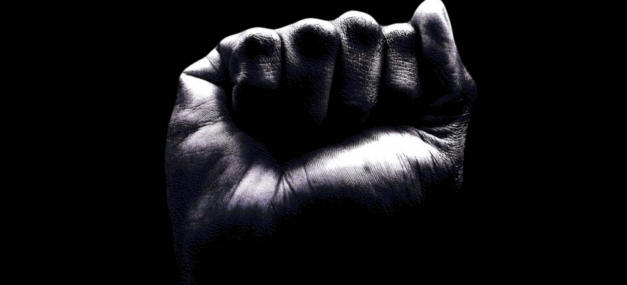 Fist, symbol of human strength